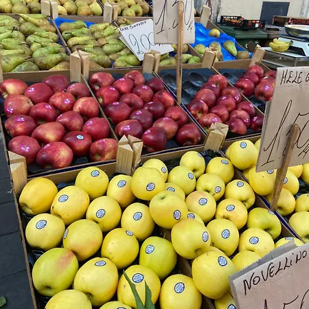 Casa Calles Dom wakacyjny *