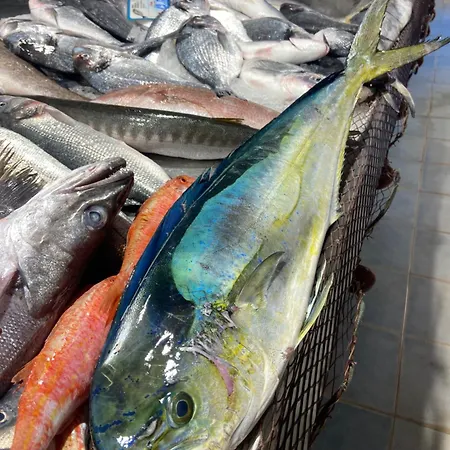 Casa Calles Dom wakacyjny