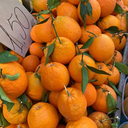 Dom wakacyjny Casa Calles