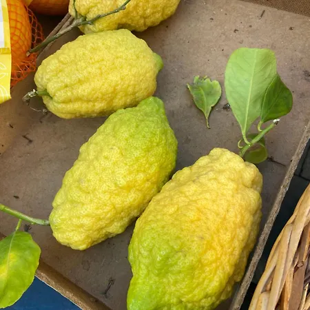 Casa Calles Dom wakacyjny Syrakuzy