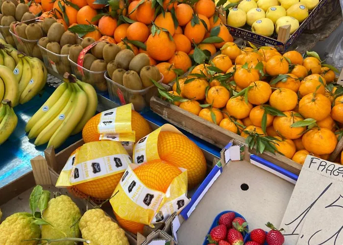 Casa Calles Syracuse