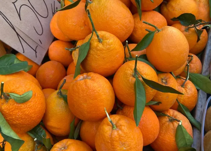 Feriehus Casa Calles