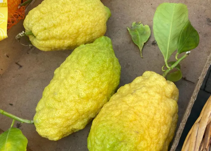 Casa Calles Feriehus Syracuse